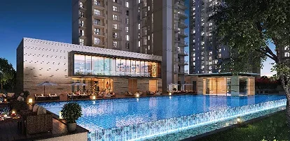 Layout Gallery Image